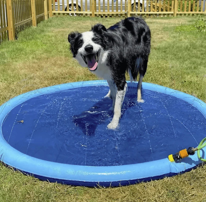 Pup Paradise™ Sprinkler Pad